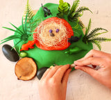 Dinosaur Themed Playdough Set