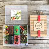 Bug Box Themed Playdough Set