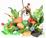 Bug Box Themed Playdough Set