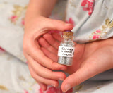 Fairy House Paint Your Own Set