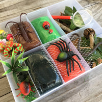 Bug Box Themed Playdough Set